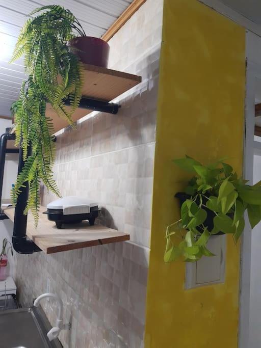 Townhousefloripa I Praia Do Mocambique Riovermelho Florianópolis المظهر الخارجي الصورة
