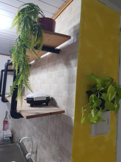 Townhousefloripa I Praia Do Mocambique Riovermelho Florianópolis المظهر الخارجي الصورة
