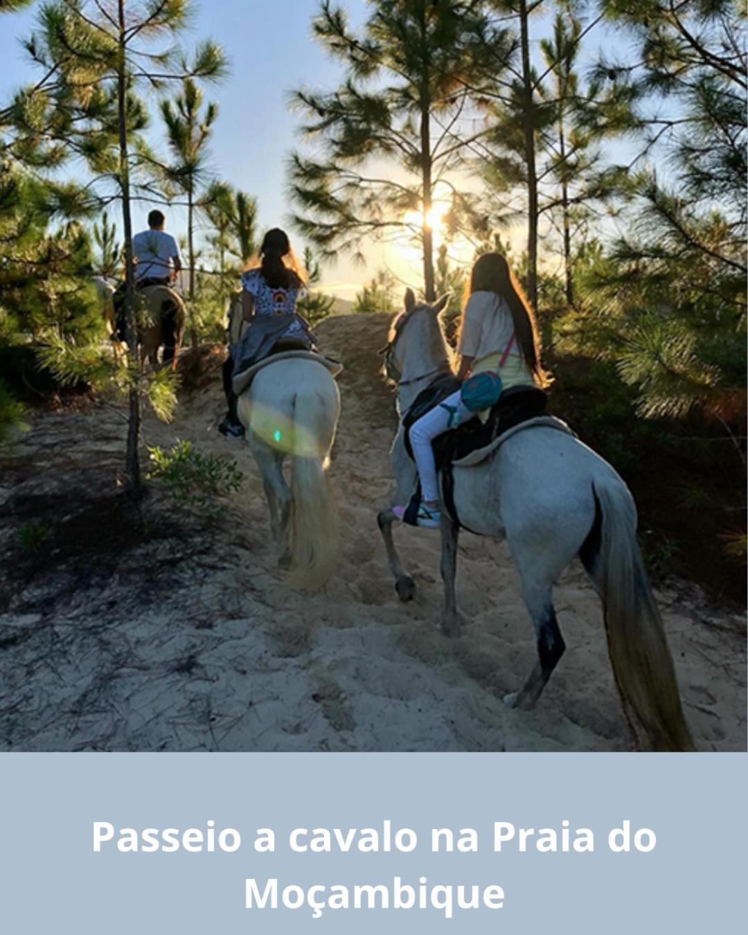 Townhousefloripa I Praia Do Mocambique Riovermelho Florianópolis المظهر الخارجي الصورة